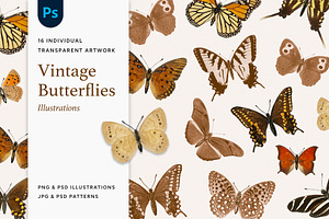 Vintage Butterflies Illustrations