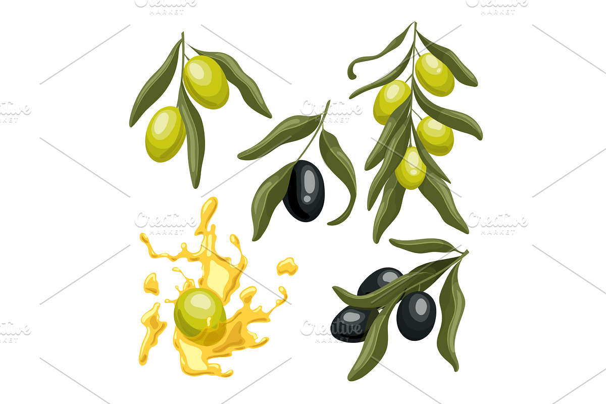 olive oil branch green set cartoon, a Food Illustration by pikepicture
