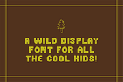 Wanderwood, a Sans Serif Font by Pink Tiger Creative (Thumbnail 4 of 8)