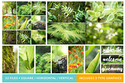 Forest Background Photo Bundle, a Nature Photo by kristiangallagher (Thumbnail 2 of 5)