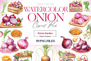 Watercolor Onion Clipart, Onion PNG