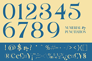 Saltive - Elegant Modern Serif, a Serif Font by Qweera Studio (Thumbnail 12 of 12)