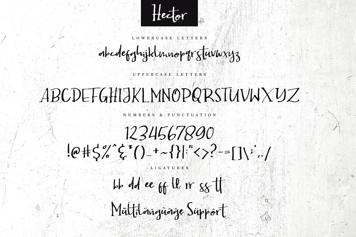 Hector Handwritten Font preview 8