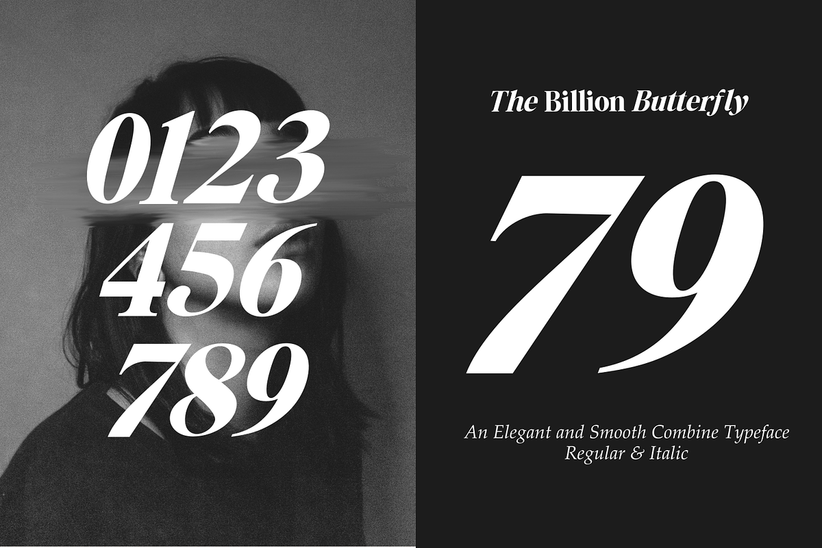 The Billion Butterfly Serif, a Serif Font by zeenesia (Photo 19 of 19)