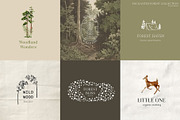 Enchanted Forest Watercolor Art, an Object Graphic by Julia Dreams (Thumbnail 8 of 12)