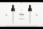 Brand Presentation Deck Template, a Presentation Template by Studio Viita (Thumbnail 6 of 10)