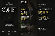 Rekogil - Luxury Serif Branding Font, a Serif Font by Say Studio (Thumbnail 4 of 10)