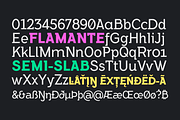 Flamante SemiSlab Light & Bold, a Slab Serif Font by deFharo (Thumbnail 5 of 6)