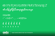 Brother Typography Script, a Script Font by oldschool designer co (Thumbnail 6 of 6)