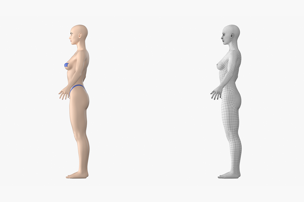 Natural Female 01 A-Pose Base Mesh, a Characters & Person 3D Model by VK Studio (Photo 9 of 26)