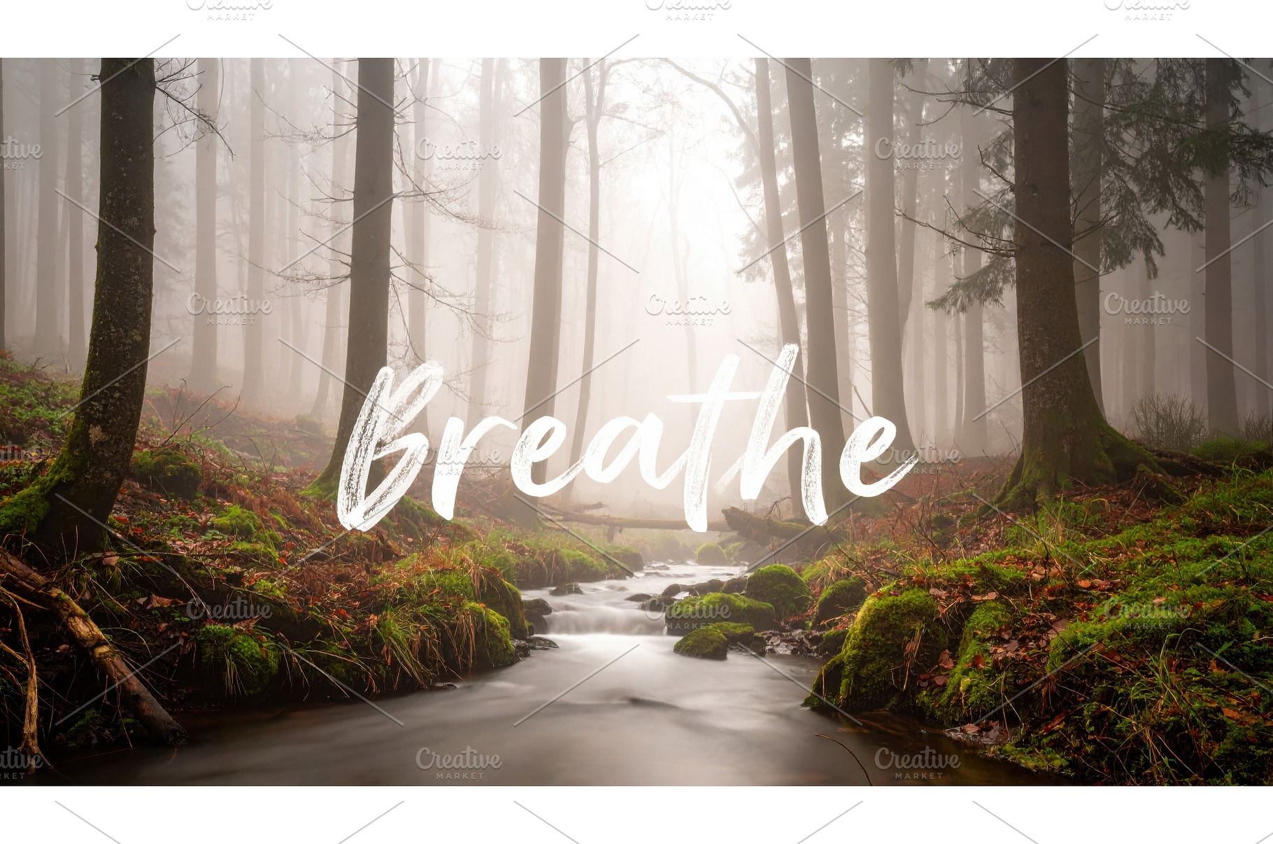 Misty forest with stream and breathe, a Background Photo by Igor Tichonow