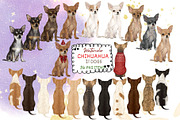 Watercolor Chihuauha png Clipart., an Animal Illustration by ColorfulPT (Thumbnail 1 of 6)