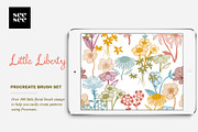 Little Liberty Procreate Brush Set, a Brush Add-On by CC CREATIVE CO (Thumbnail 3 of 12)