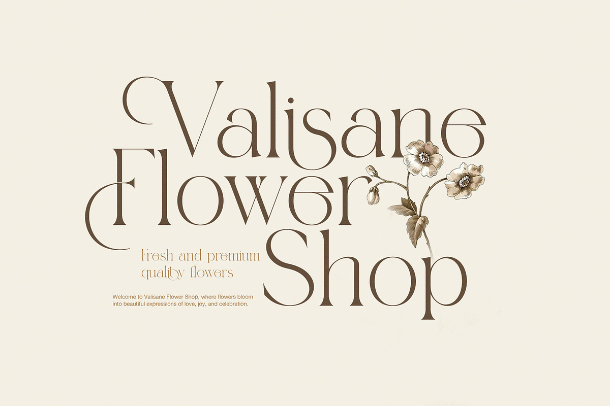 Hident Elegant Serif Display Font, a Serif Font by Graphicxell (Photo 4 of 8)
