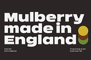 Nordt, a Sans Serif Font by Typesketchbook Foundry (Thumbnail 2 of 5)