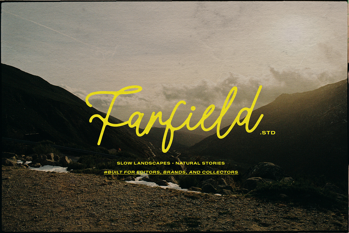 Morlintado | Monoline Script, a Script Font by gracetype_studio (Photo 8 of 12)