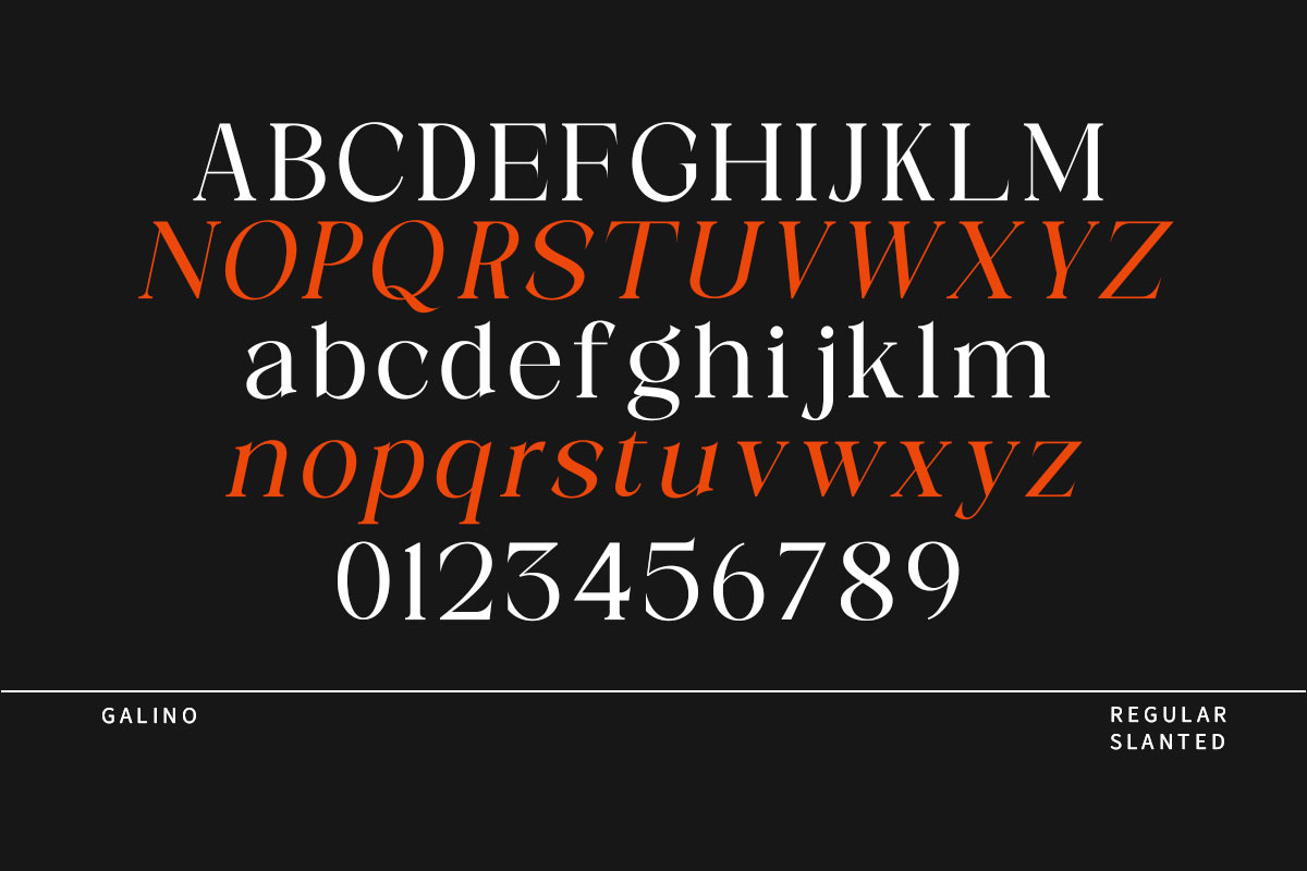 Galino, a Serif Font by Nurul_kamal (Photo 13 of 14)