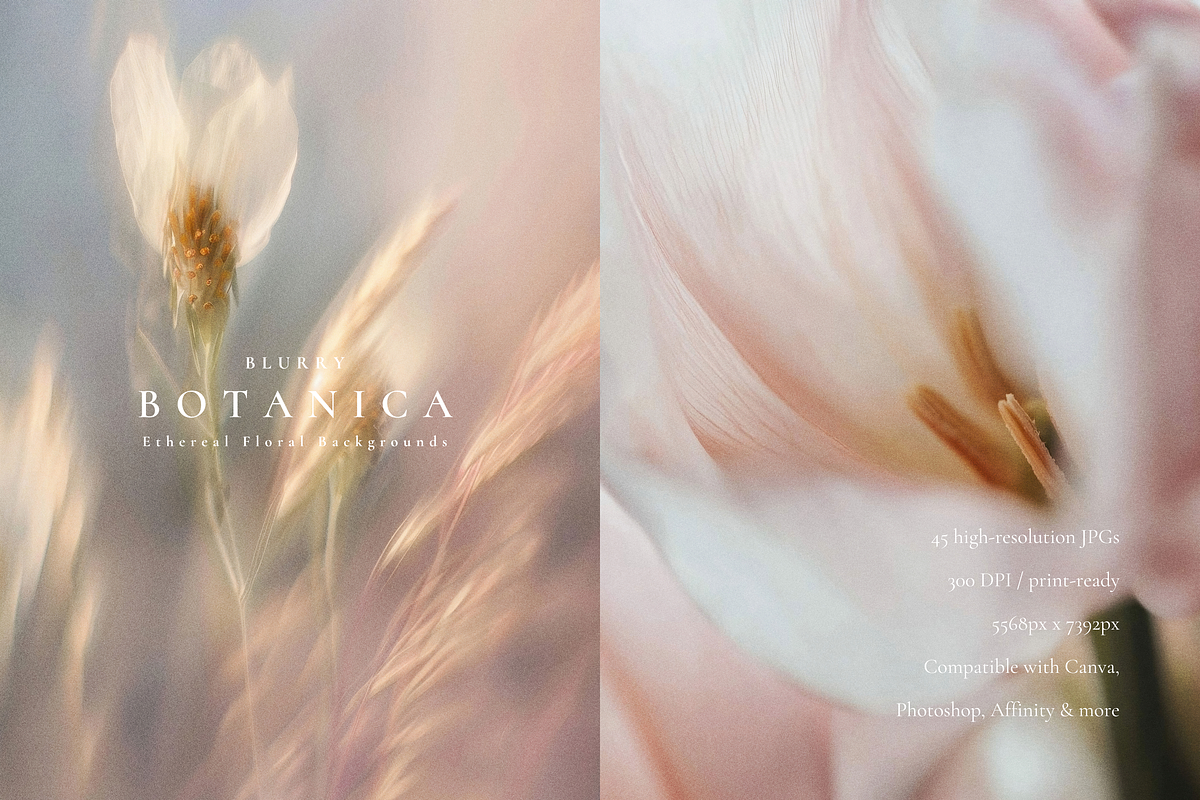 Aesthetic Blurry Floral Backgrounds, a Background Graphic by Altea Design Studio (Photo 7 of 14)