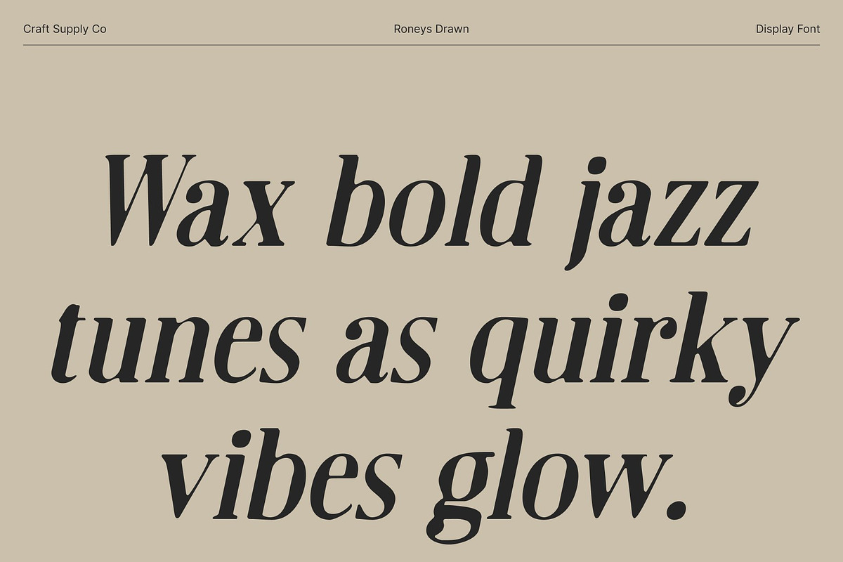 Roneys Drawn, a Serif Font by Craft Supply Co. (Photo 7 of 8)