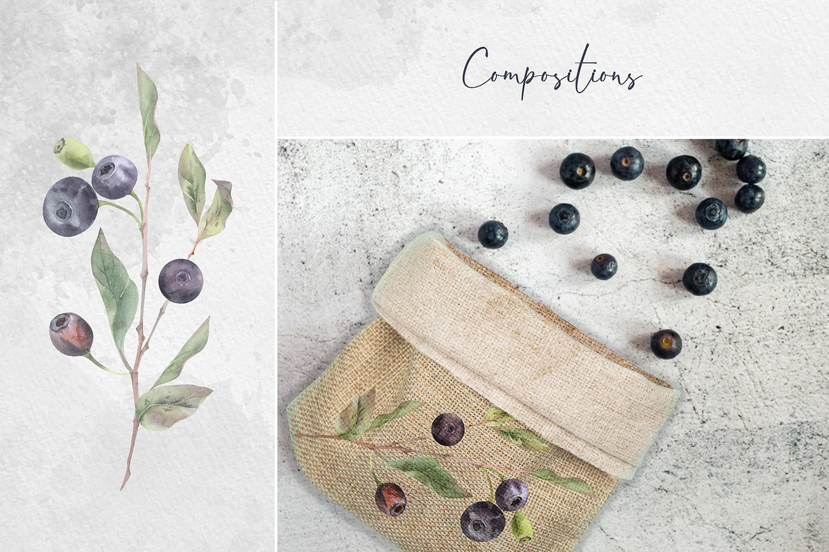 Forest huckleberry berries, a Food Illustration by MsFlaffy (Photo 4 of 11)