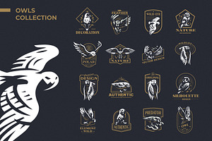 Set of vector Owls illustrations.