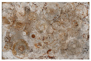 Corrosion Textures, a Texture Graphic by Blue Line Design (Thumbnail 9 of 13)