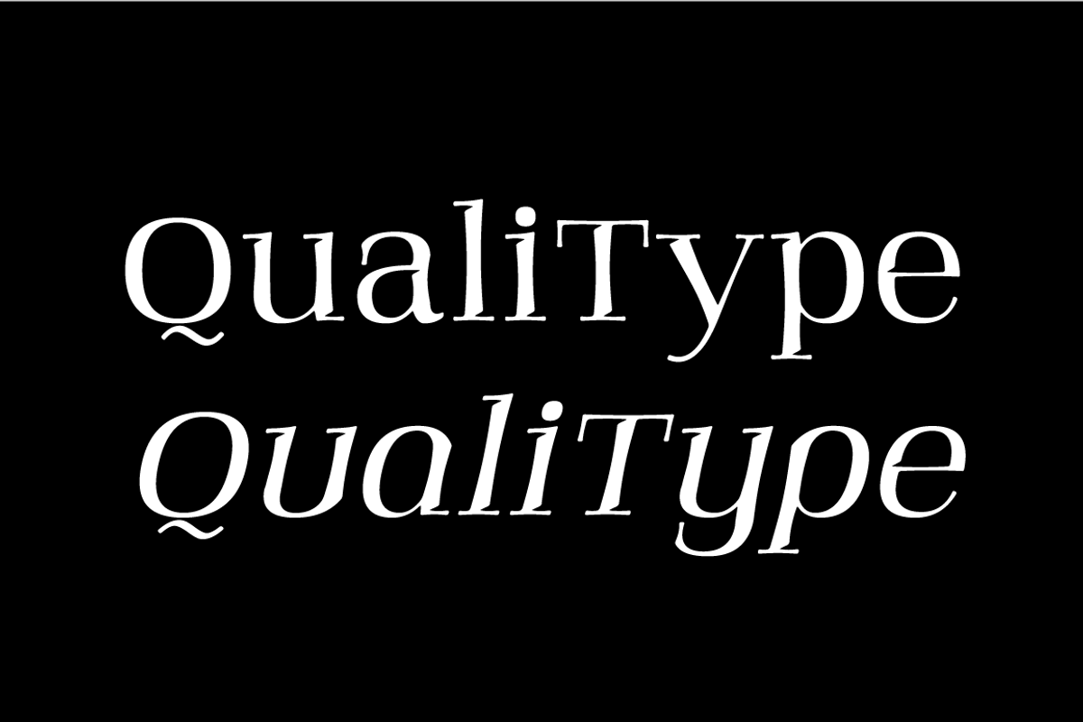 Qualitype Neo, a Serif Font by BULENT YUKSEL (Photo 12 of 28)