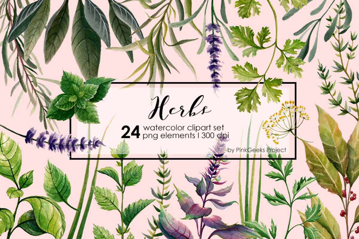 HERBS watercolor clip art set, a Graphic by AJDA ART (Photo 1 of 3)