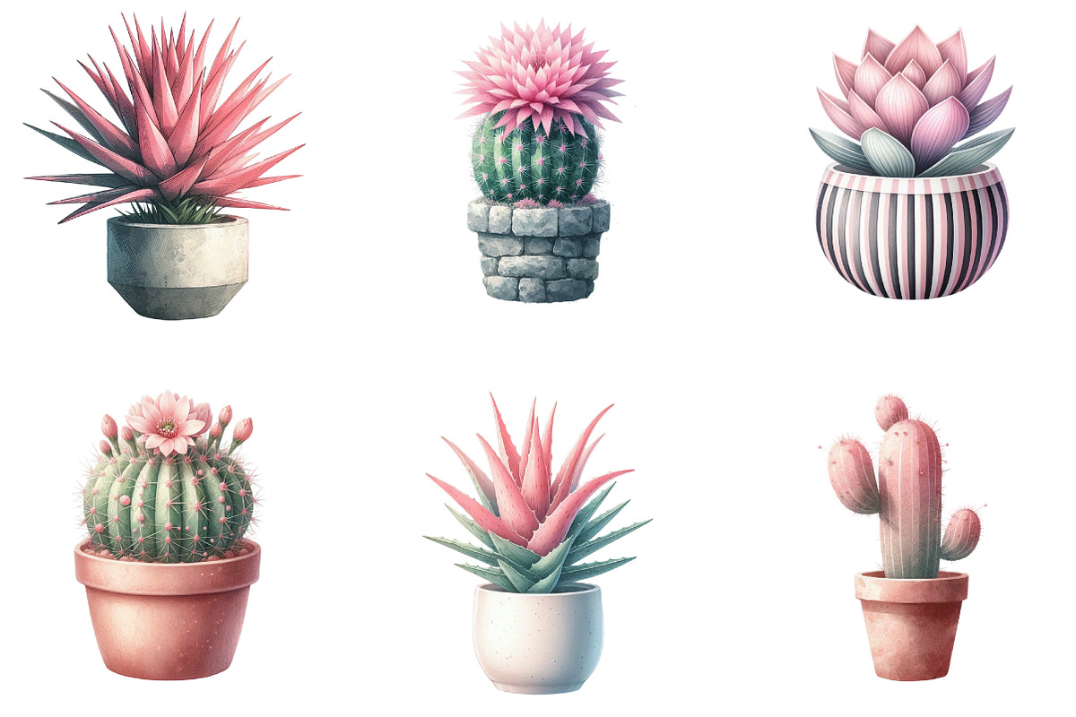 Pink Cactus and Succulents Clipart, an Illustration by Designking (Photo 3 of 5)