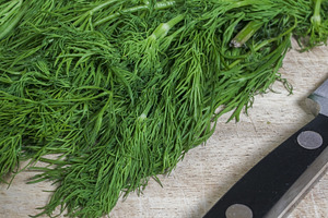 Fresh dill bunch on wooden cutting b, a Food & Drink Photo by 1miromiro