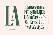 Repslag Brocker Luxury Serif Font, a Serif Font by timelesstype.co (Thumbnail 12 of 20)
