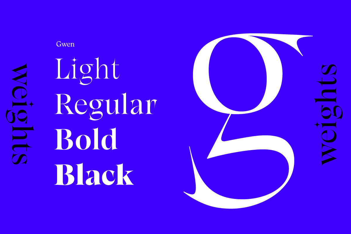 Gwen, a Serif Font by Fontfabric (Photo 2 of 4)