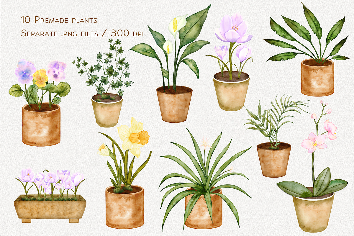 Houseplants Watercolor Collection, a Decorative Illustration by Aurella Art (Photo 5 of 15)
