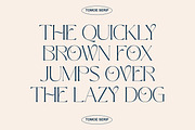 Lovie - Elegant Glyphs Serif, a Serif Font by Luna Shop (Thumbnail 3 of 7)