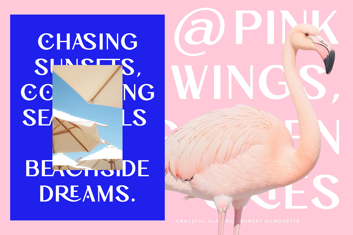 Drinkse A Modern Sans Serif, a Sans Serif Font by AmorfaType (Photo 4 of 11)