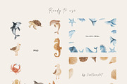 Watercolor Under Sea Collection, an Animal Illustration by Jenteva Art (Thumbnail 5 of 14)