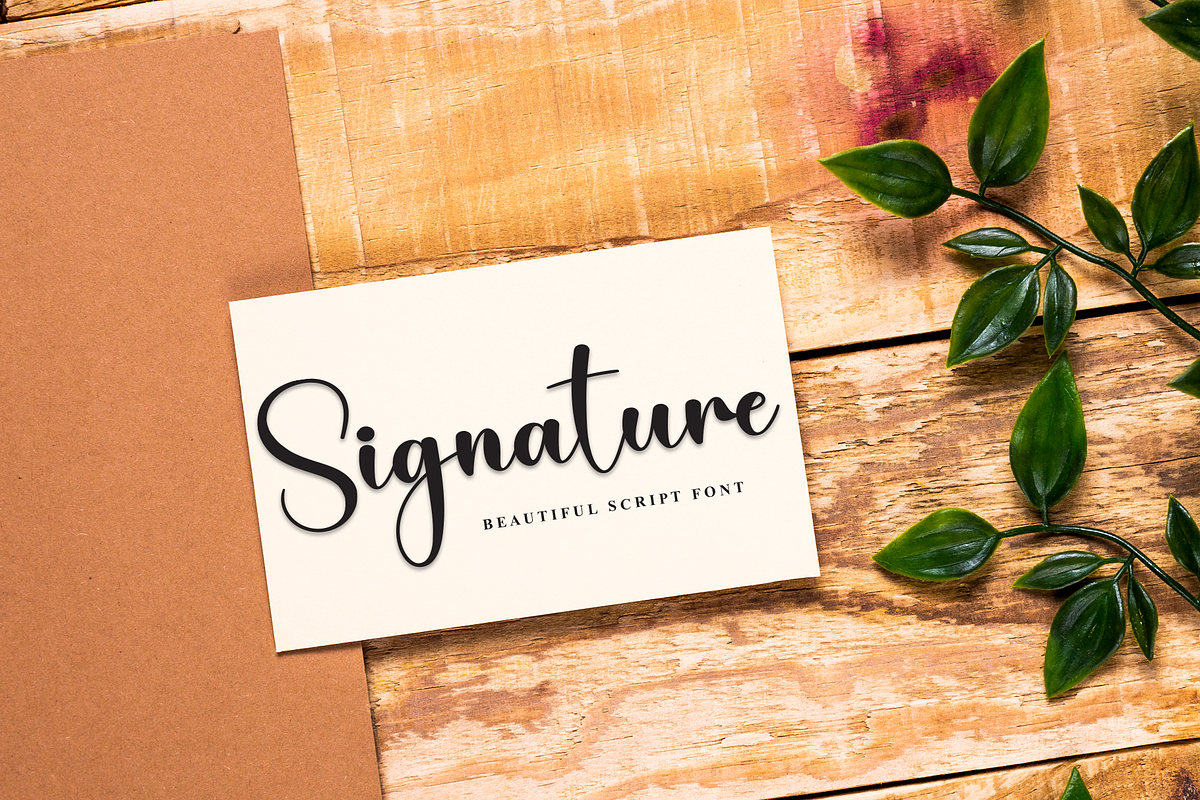 Delicate | Script Font, a Handwritten Font by Scratchones (Photo 4 of 8)