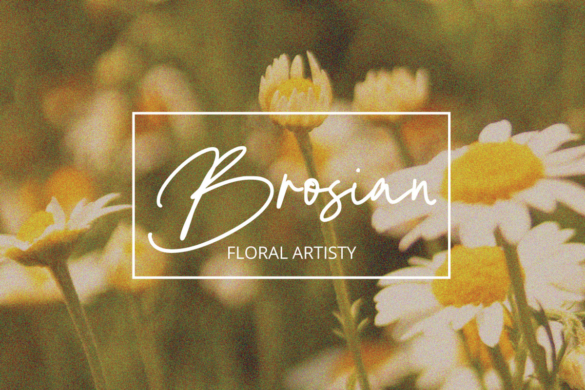 Hilanda - Handwritten Signature, a Handwritten Font by tebaltipislab (Photo 3 of 8)