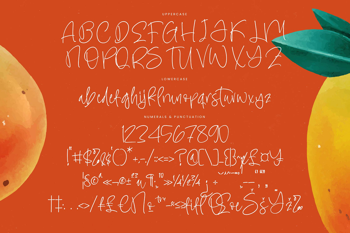 Sensation Fruity Natural Handwritten, a Script Font by stylishtype.co (Photo 18 of 20)