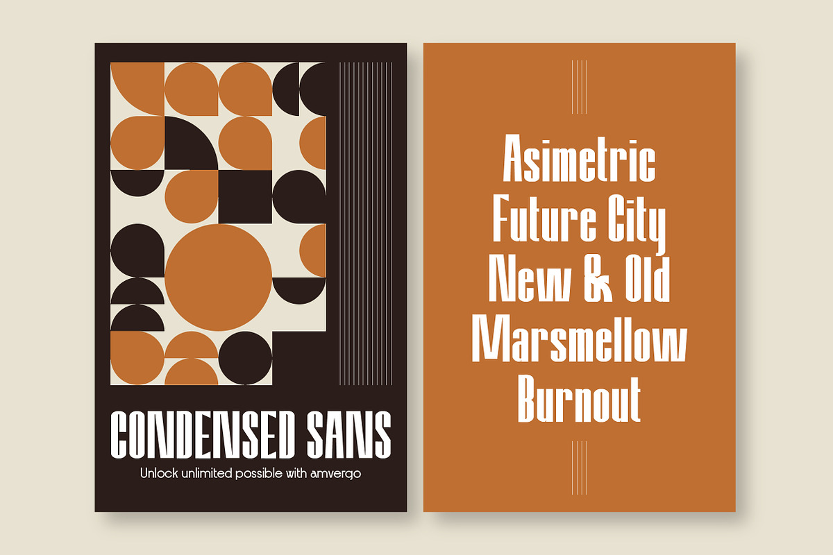 Amvergo Modern Sans Family, a Sans Serif Font by Lettertype Studio (Photo 18 of 18)