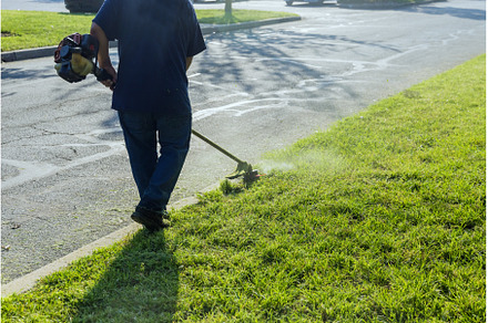 A lawn mower mows fresh, green grass, an Industrial Photo by Ungvar Studio