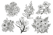 33 Floral Bouquets Set, a Decorative Illustration by Sunset&Sea Design (Thumbnail 2 of 6)