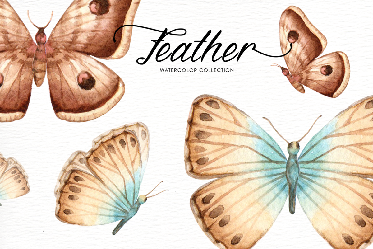 Feather Watercolor Collection, an Illustration by everysunsun (Photo 6 of 6)