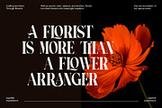 Armio Elegant Serif Font, a Serif Font by Perfectype (Thumbnail 2 of 8)