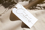 August Sterling Beauty Calligraphy, a Script Font by Storytype Studio (Thumbnail 8 of 15)