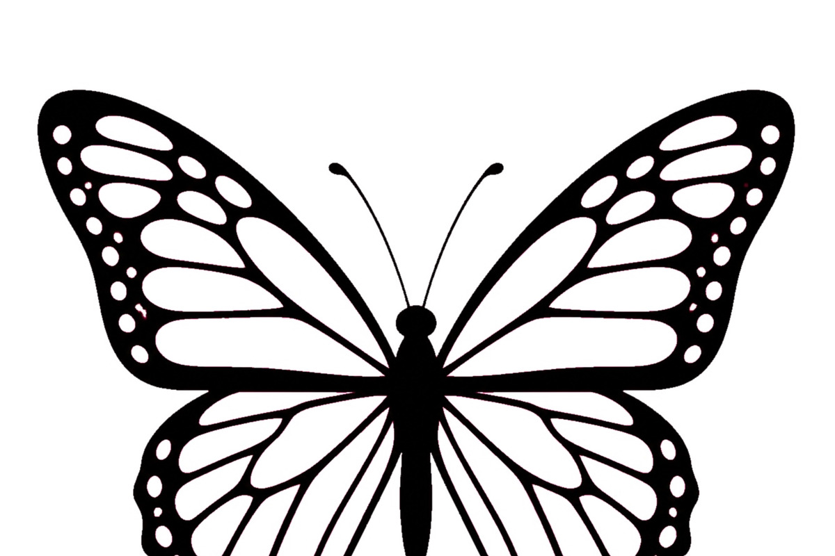Black butterfly silhouette with, an Object Illustration by ZinetroN (Photo 3 of 3)