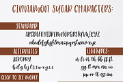 Cinnamon Sugar Script Font, a Script Font by Jordyn Alison Designs (Thumbnail 9 of 9)