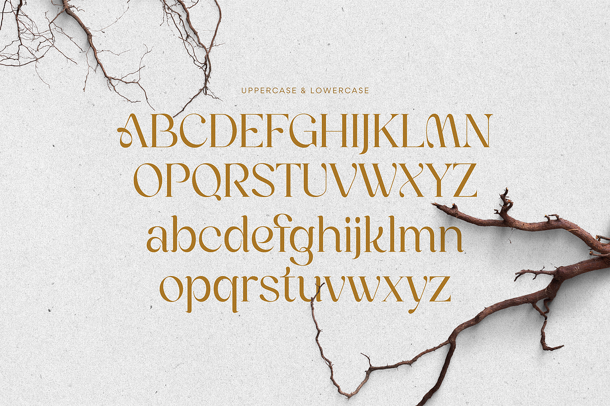 Melinda Elegant Modern Font, a Sans Serif Font by Jaruka (Photo 6 of 10)