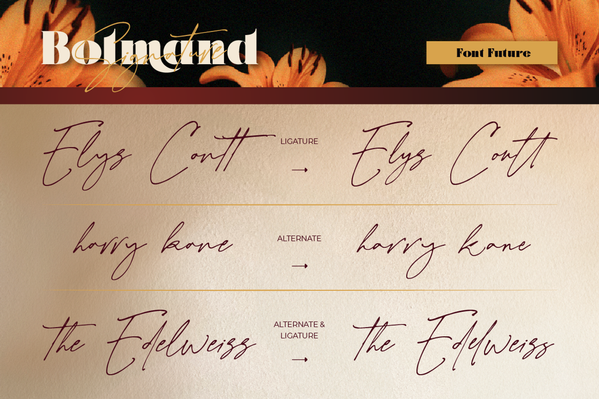 Bolmand Signature, a Serif Font by Burntilldead (Photo 8 of 12)