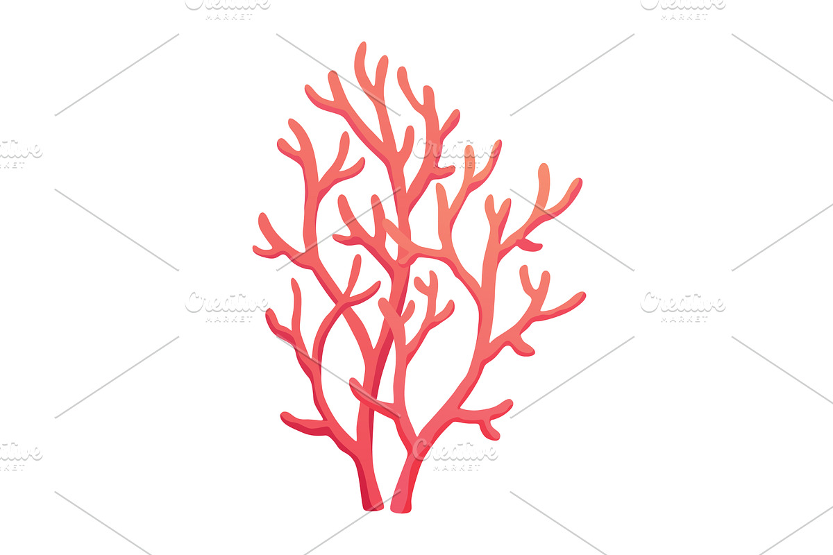 Seaweed and corals isolated on white, an Animal Illustration by the8monkey